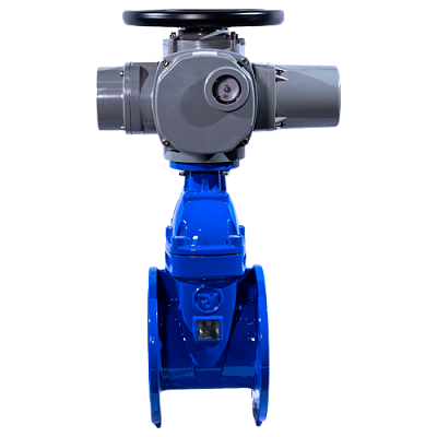 Задвижка с обрезиненным клином тип RVG 12 DN050 с эл/приводом, Ridval